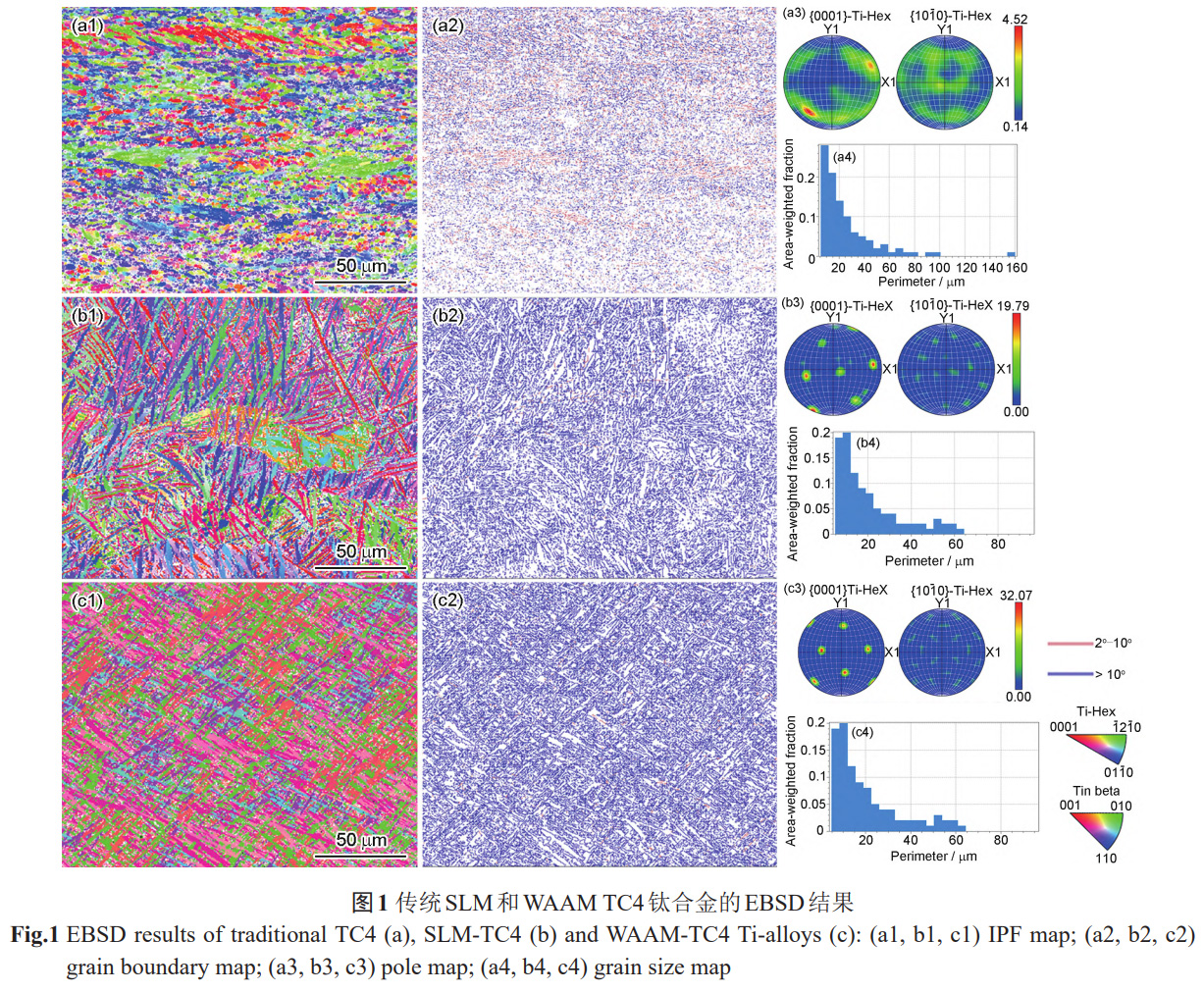 增材制造TC4鈦合金的鈍化性能優勢及微觀調控機制——對比SLM,WAAM與鍛造退火工藝，解析擇優取向/晶粒尺寸對鈍化膜缺陷濃度,致密性的影響，為航空航天/生物醫療用鈦合金耐蝕設計提供依據