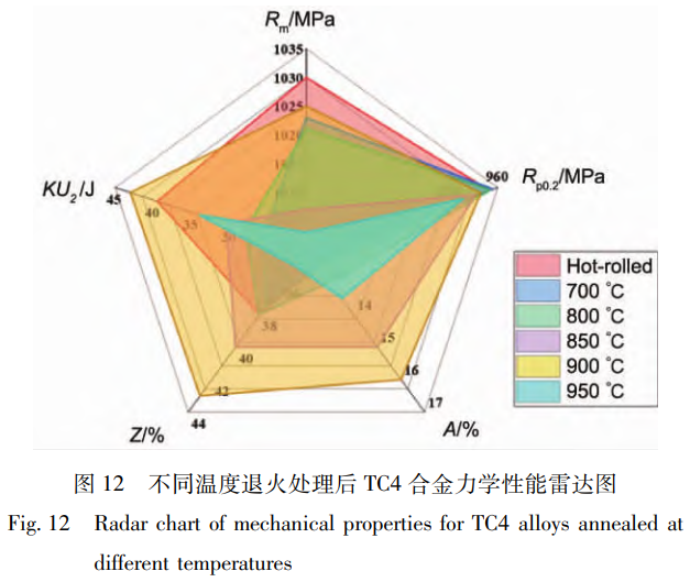 軋制-退火協(xié)同調(diào)控下艦船用大規(guī)格TC4鈦合金板材的組織演變機制與力學性能各向異性優(yōu)化研究——聚焦初生α相/次生α相調(diào)控及900℃退火工藝的弱織構(gòu)增強效應