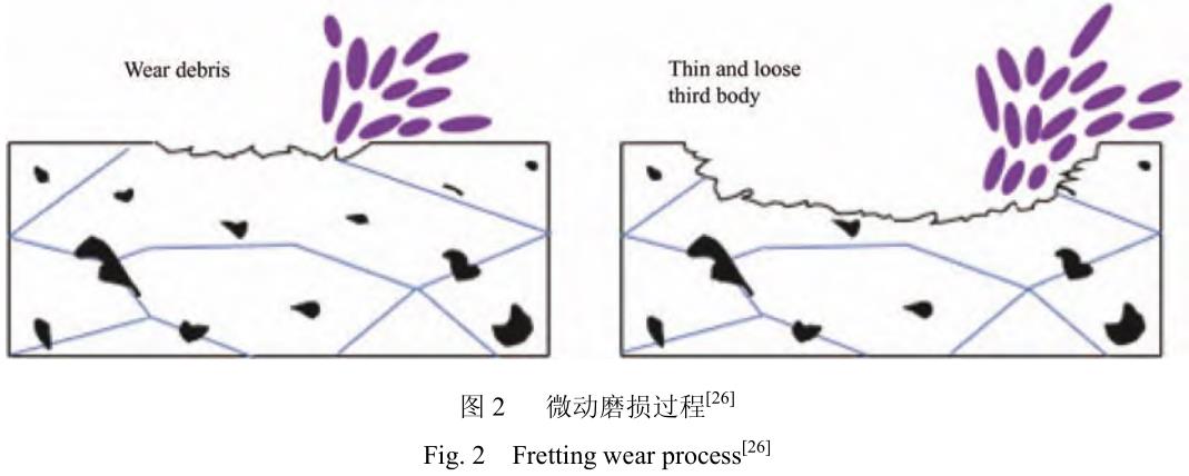 1706095394192041.jpg t2.jpg