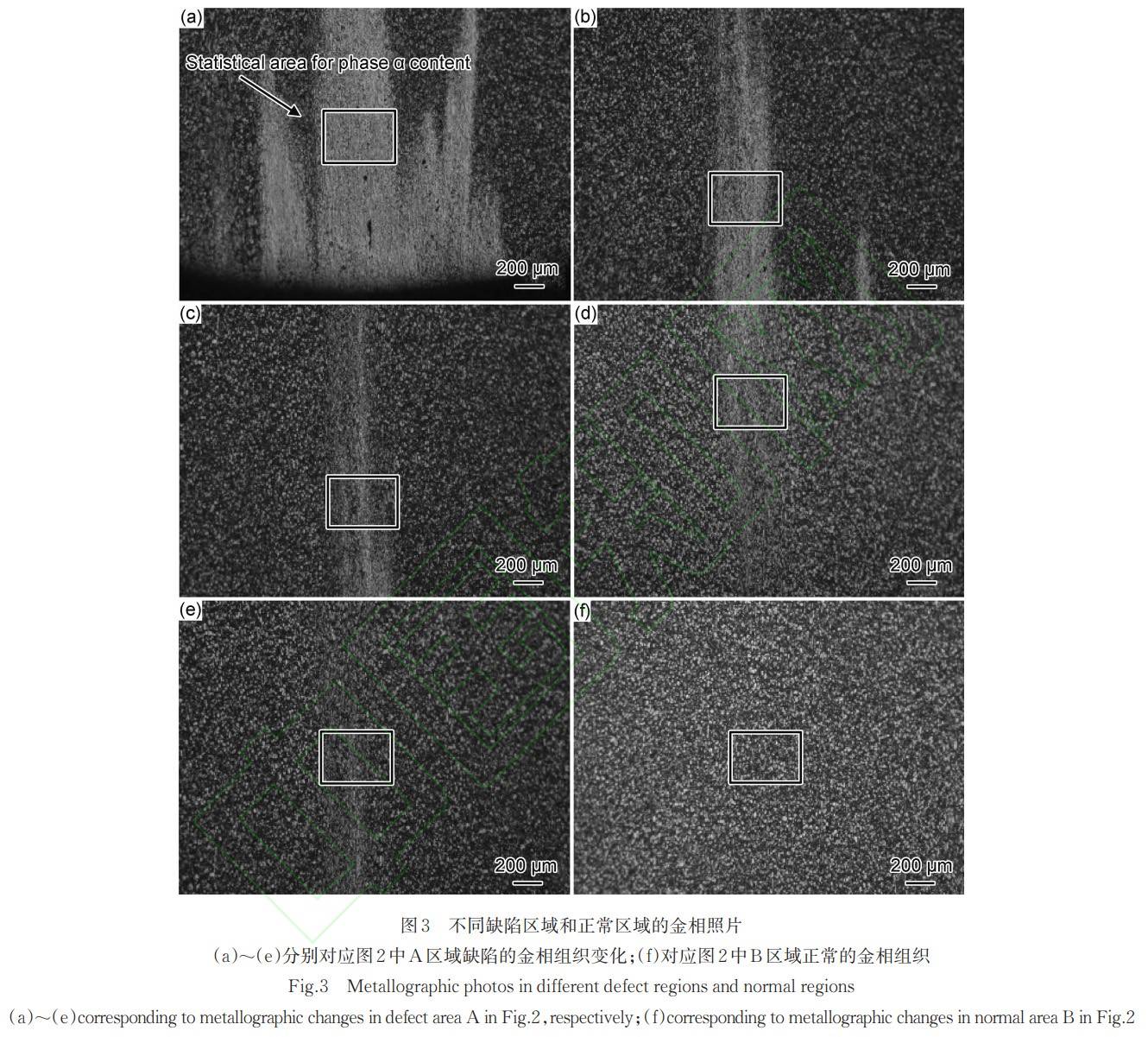 1766324628287222.jpg 未標題-1.jpg